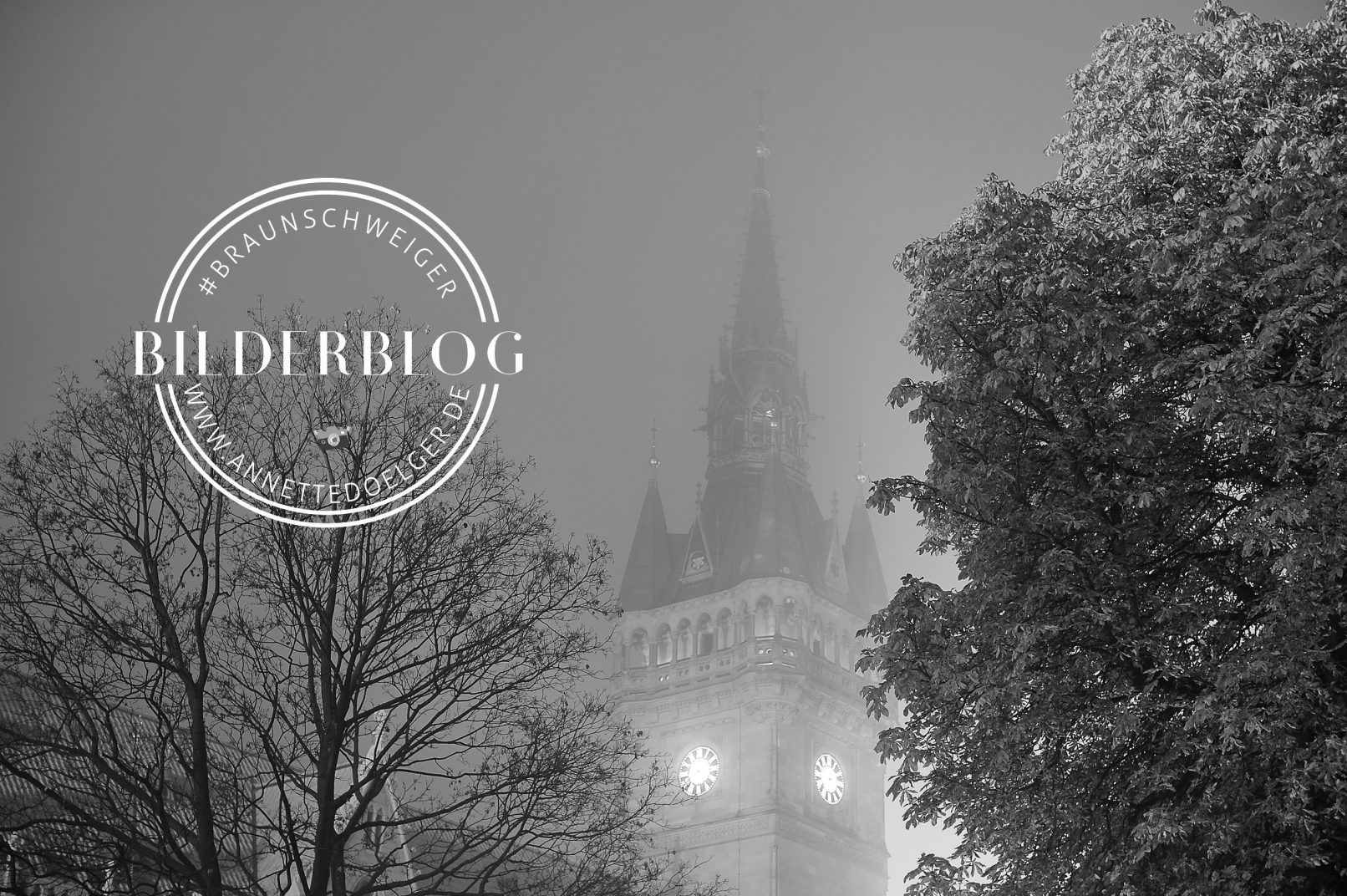 Braunschweiger Rathausturm
