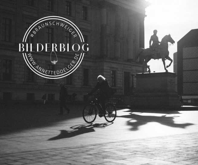 Reiterstandbild Herzog Friedrich Wilhelm Schloss Braunschweig