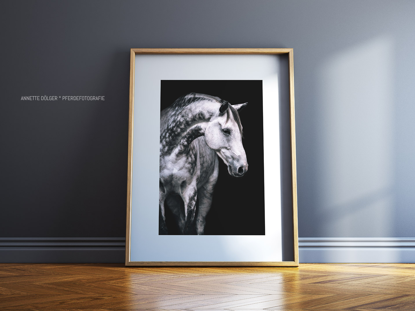 Pferdefotografie Braunschweig