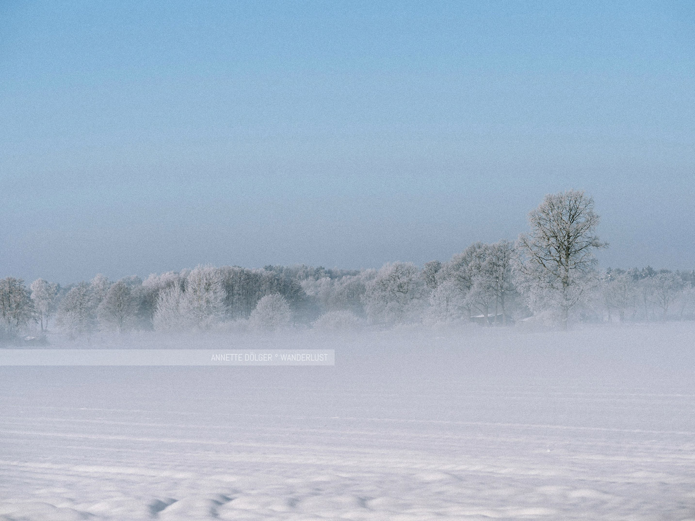 Bäume mit Raureif und Schnee im Sonnenschein bei Wahrenholz
