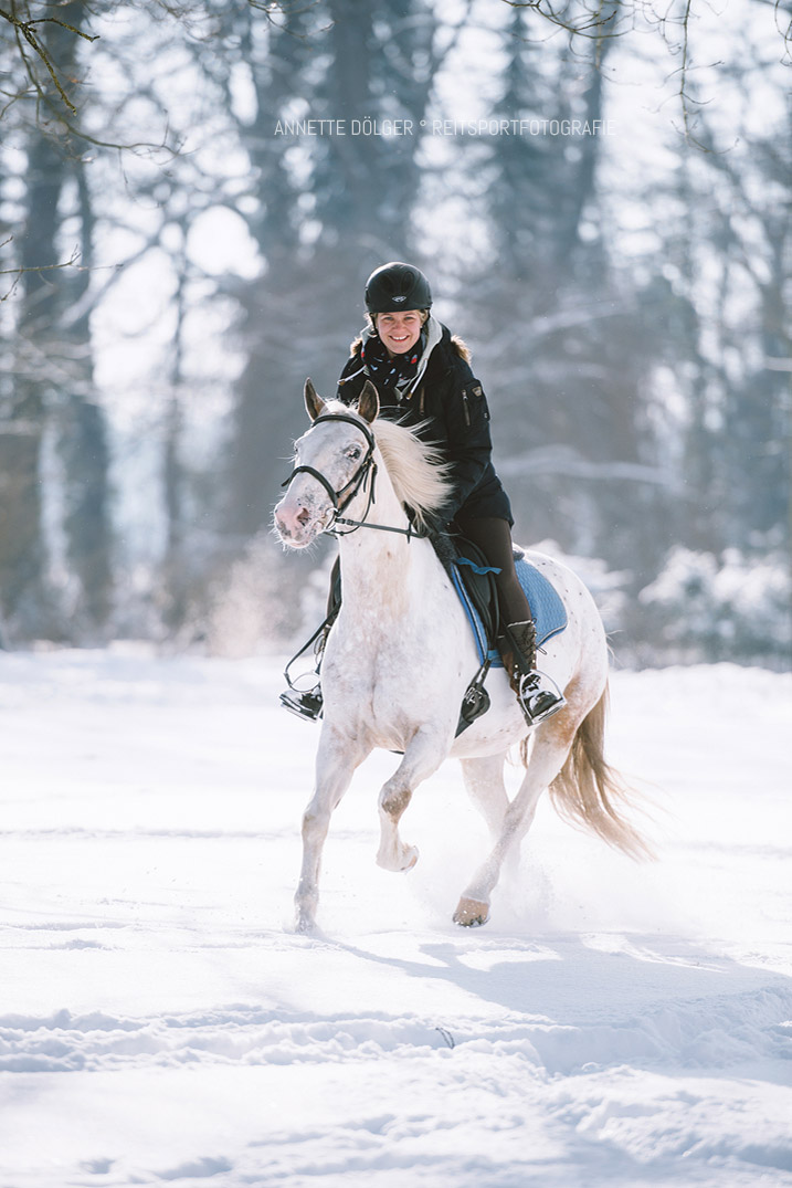 Fotografie Reitsport Braunschweig