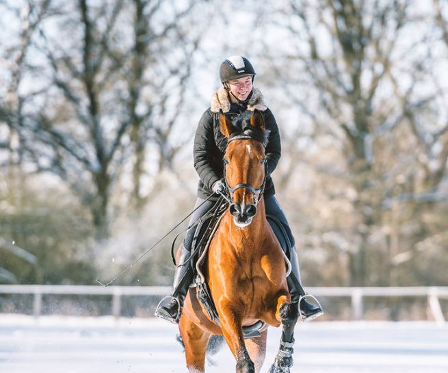 Reitsportfotografie Gifhorn