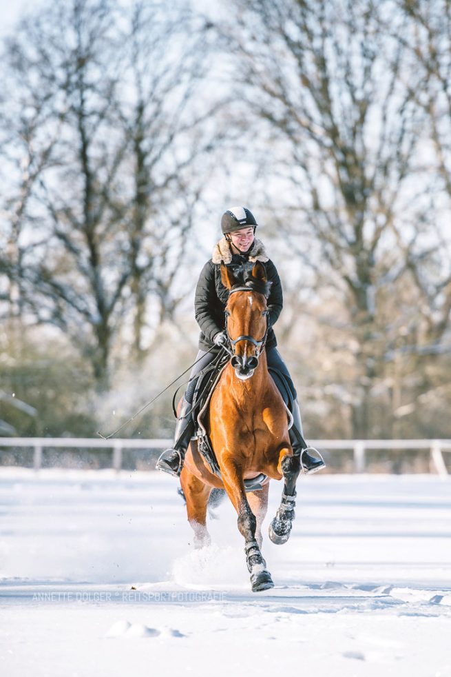 Reitsportfotografie Gifhorn