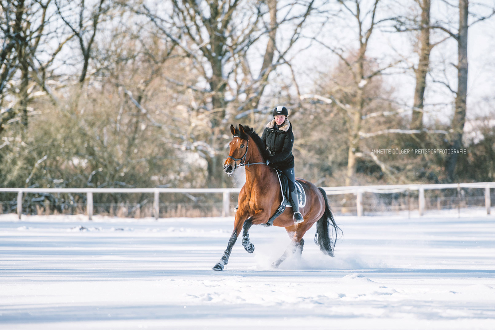 Reitsport Fotoshooting Hannover