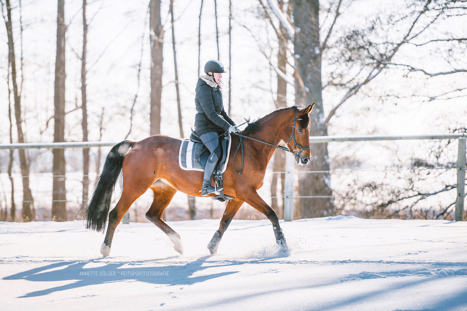 Reitsport Fotoshooting Wolfsburg