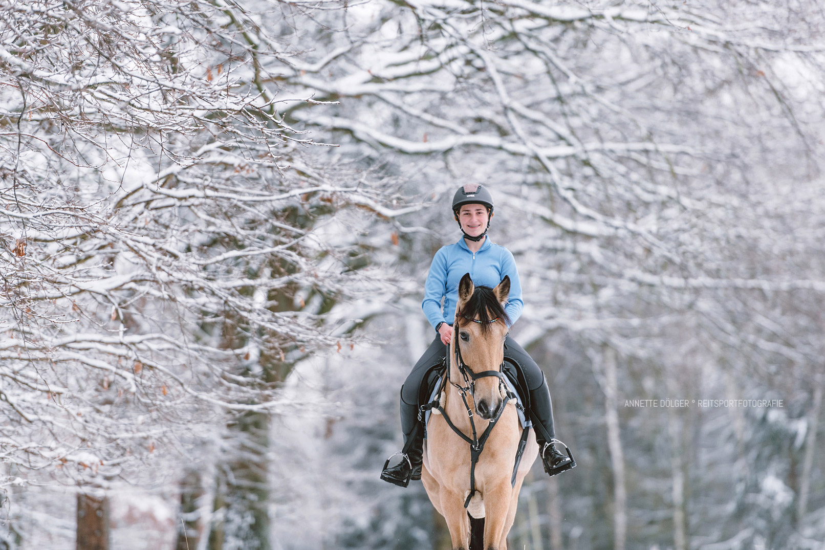 Reitsport Fotoshooting