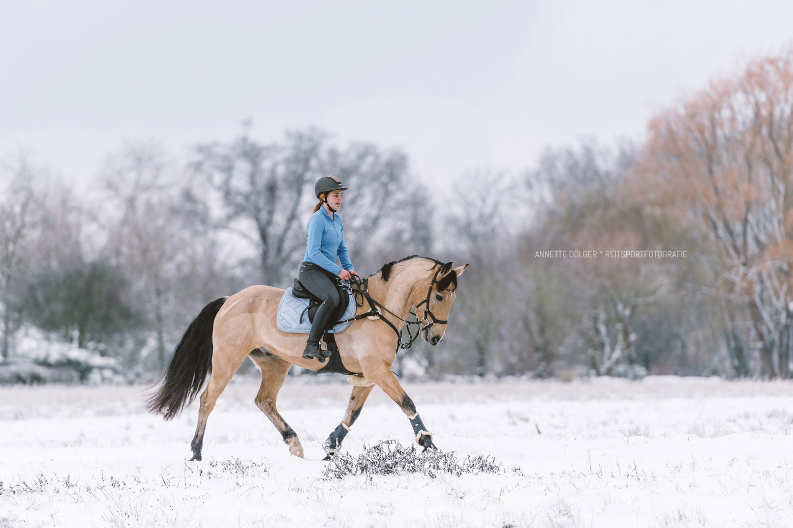 Reitsportfotografie Hannover