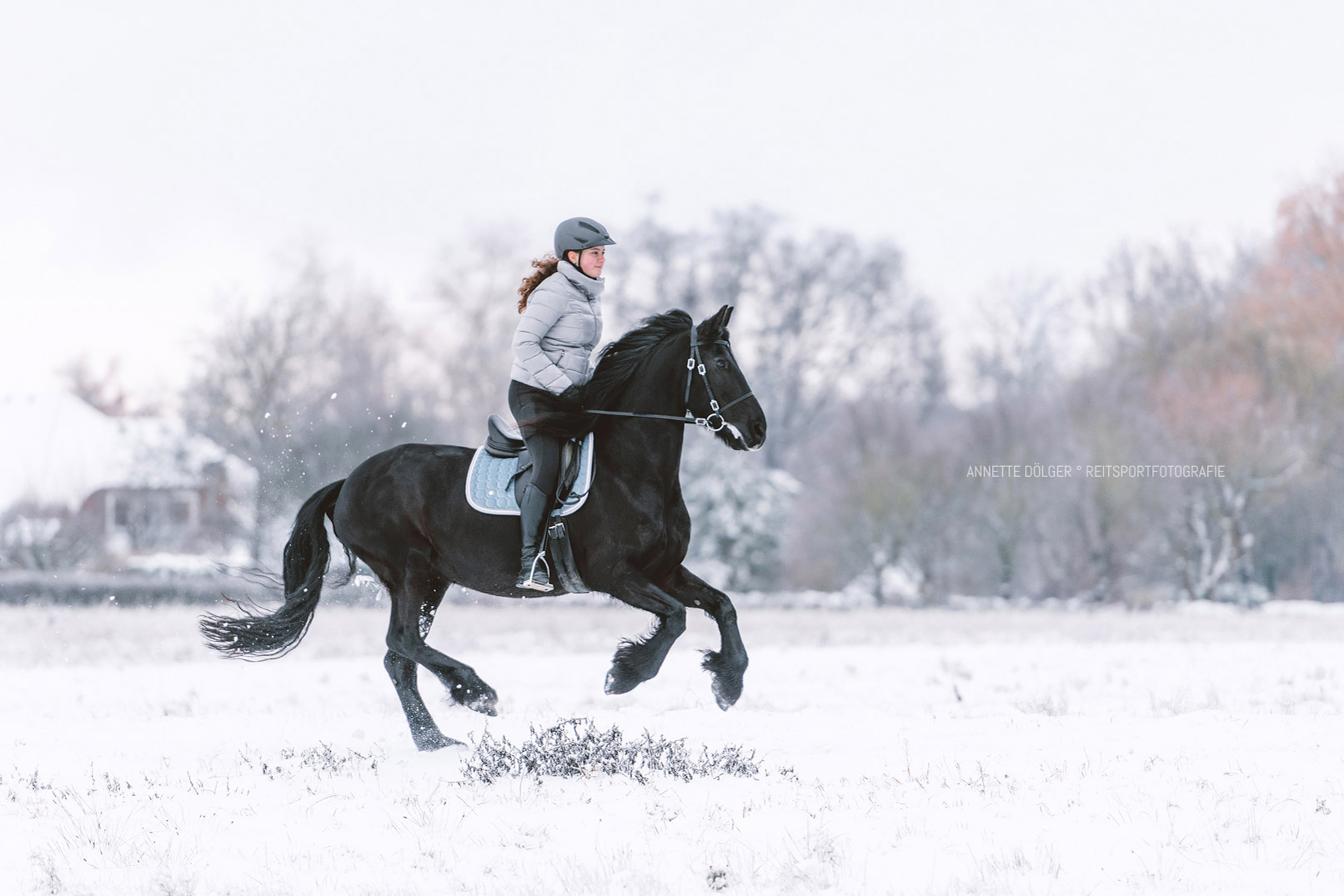 Reitsportfotografie Helmstedt