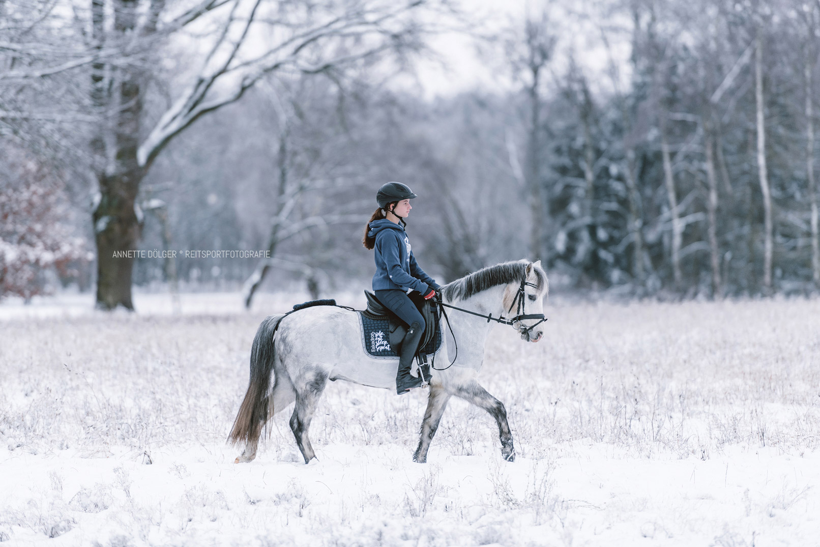 Reitsportfotografie Wolfsnbuettel