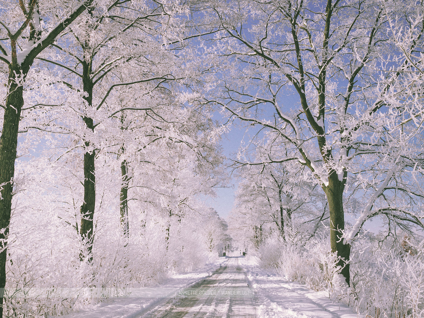 Weg bei Wahrenholz im Winter mit Sonne und Schnee