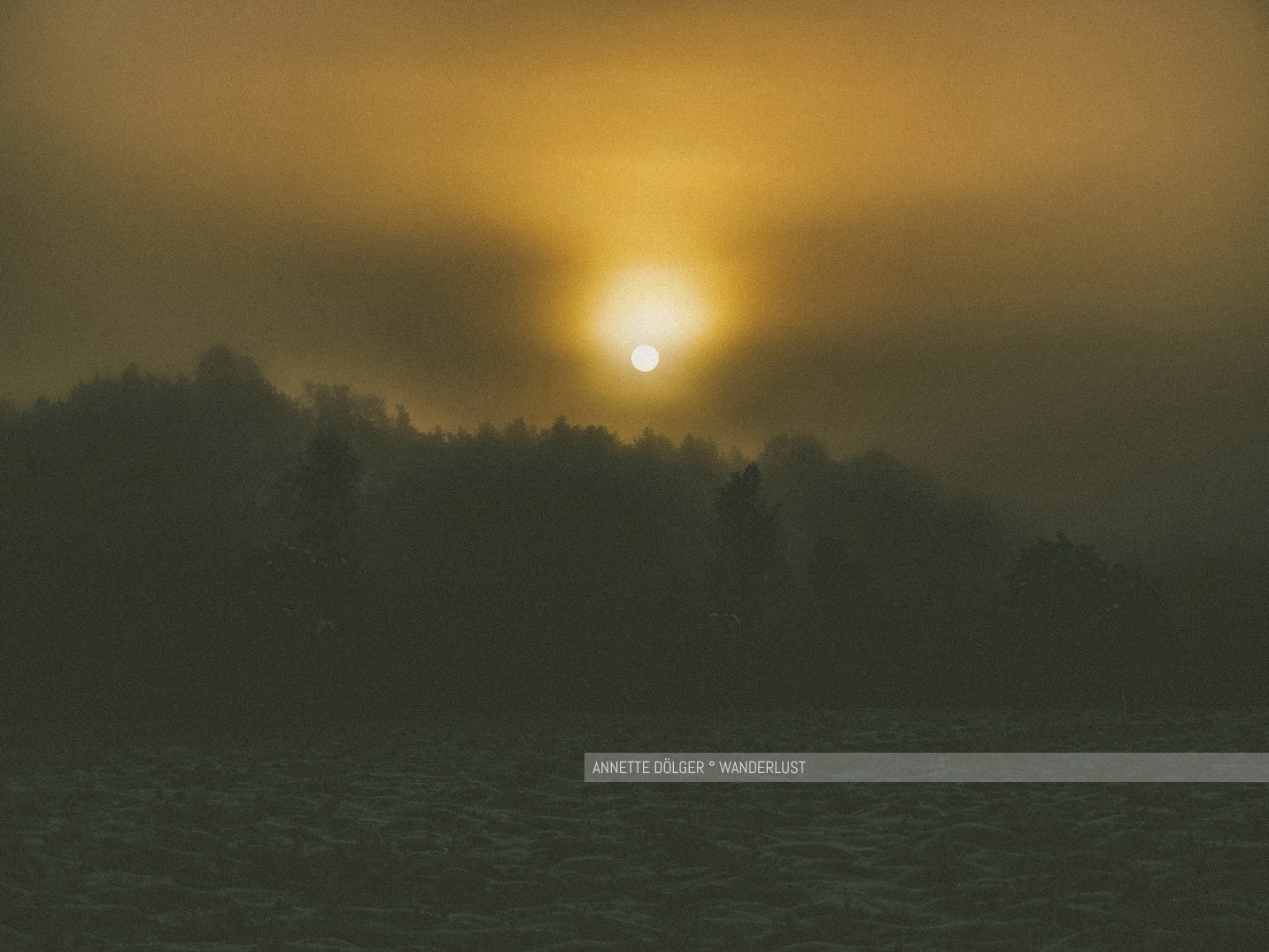 Sonnenaufgang über dem Heiligen Hain bei Wahrenholz