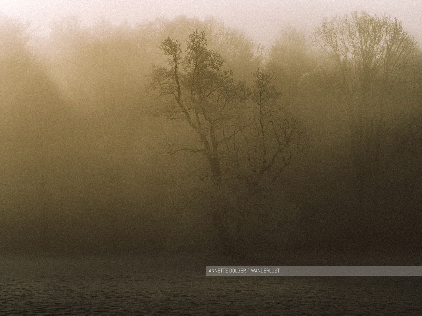 Baum am Waldrand im Sonnenlicht morgens bei Schnee