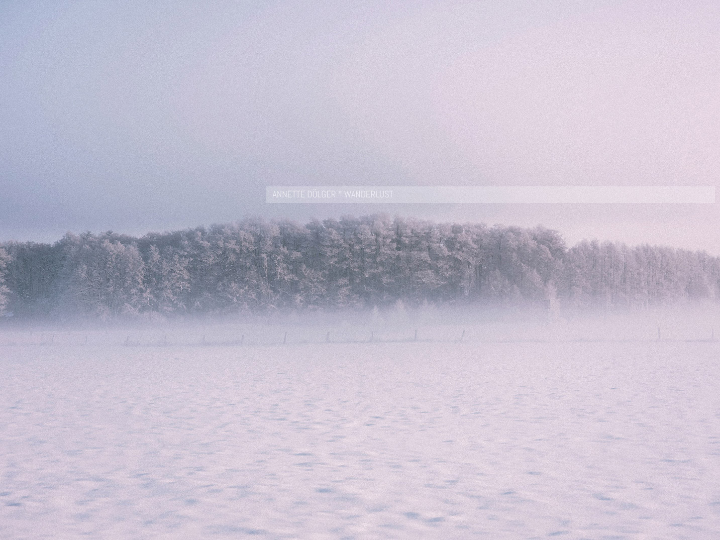 Waldrand im Winter bei Schnee und Sonnenaufgang