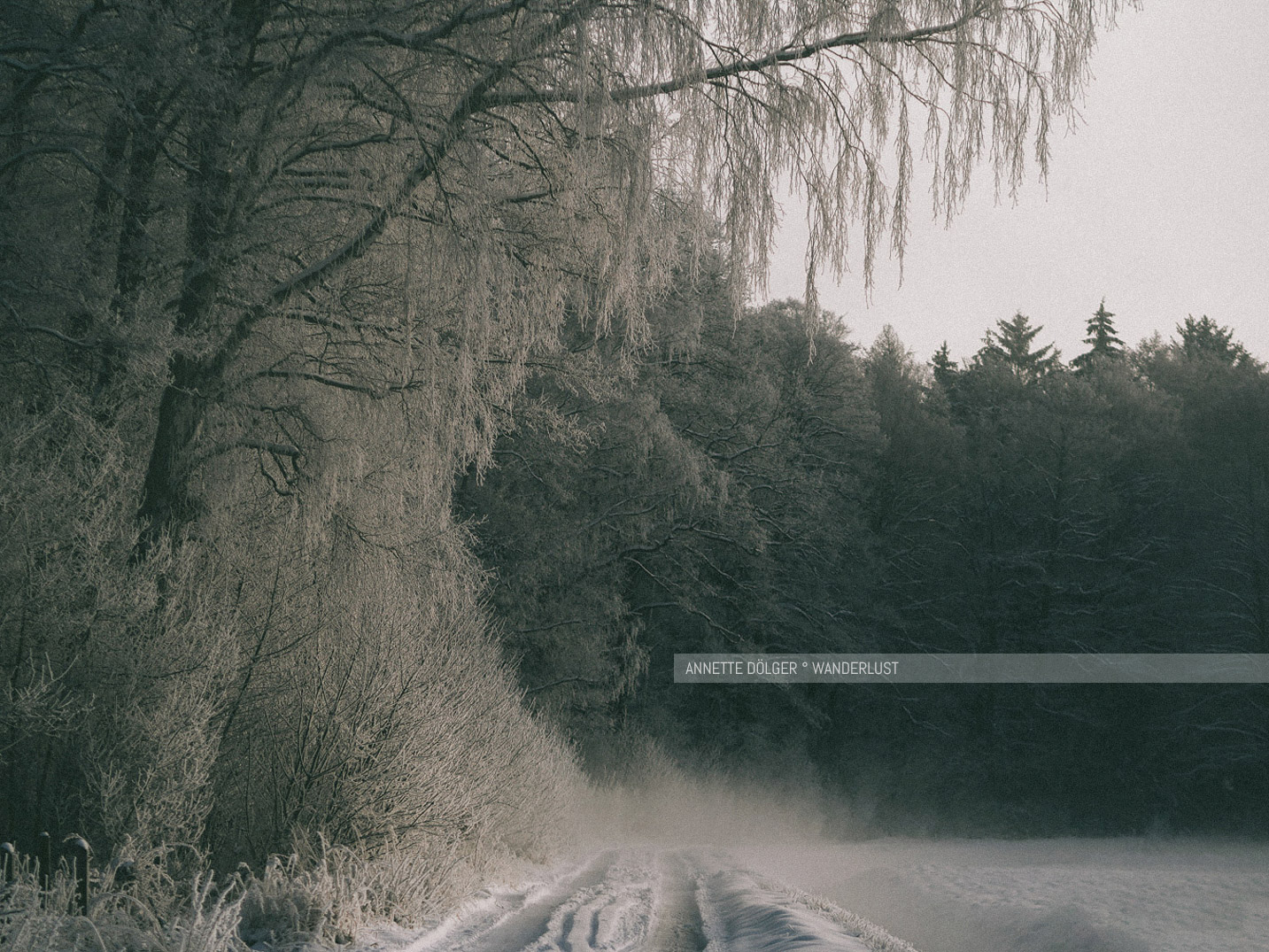 Waldrand bei Schnee mit Raureif beim Heiligen Hain
