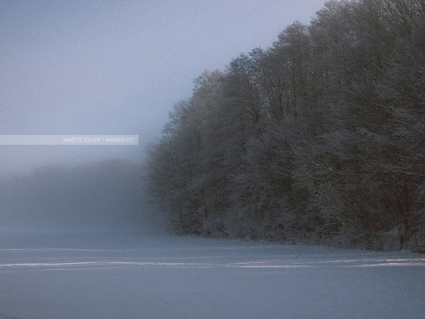 Waldrand im Winter bei Schnee am Heiligen Hain