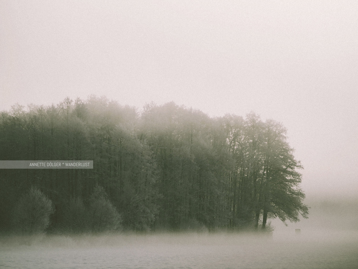 Winterwald bei Schnee am Heiligen Hain