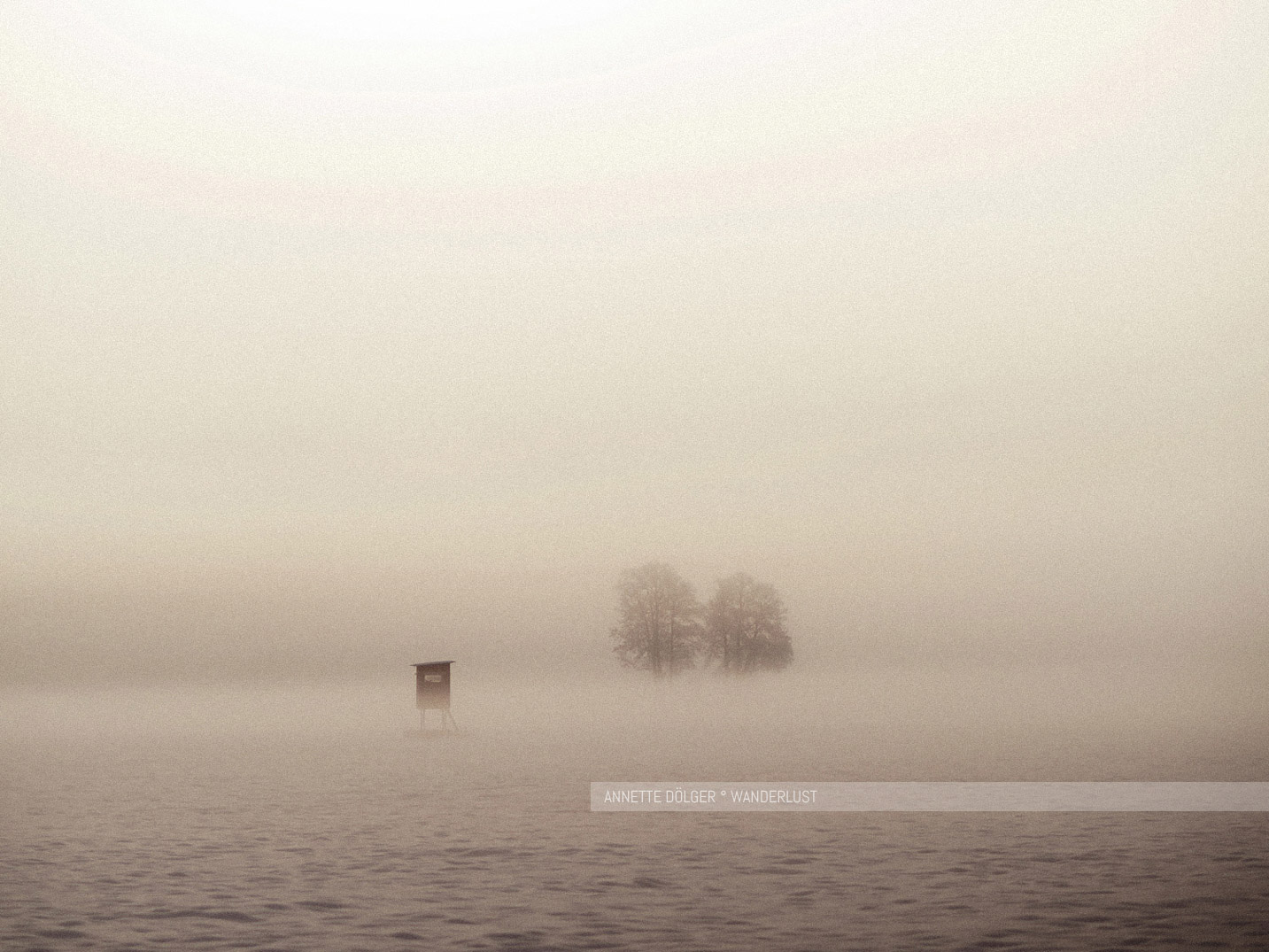Nebel bei Sonnenaufgang im Winter Heiliger Hain