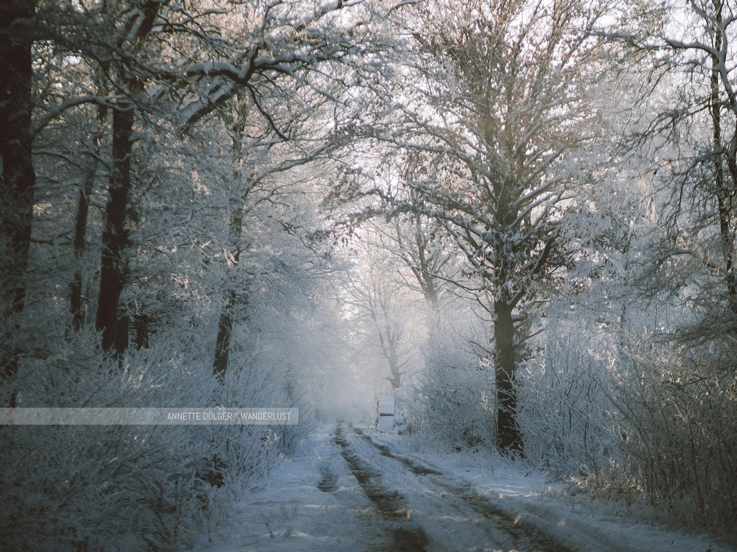Weg bei Wahrenholz am Heiligen Hain bei Schnee im Winter