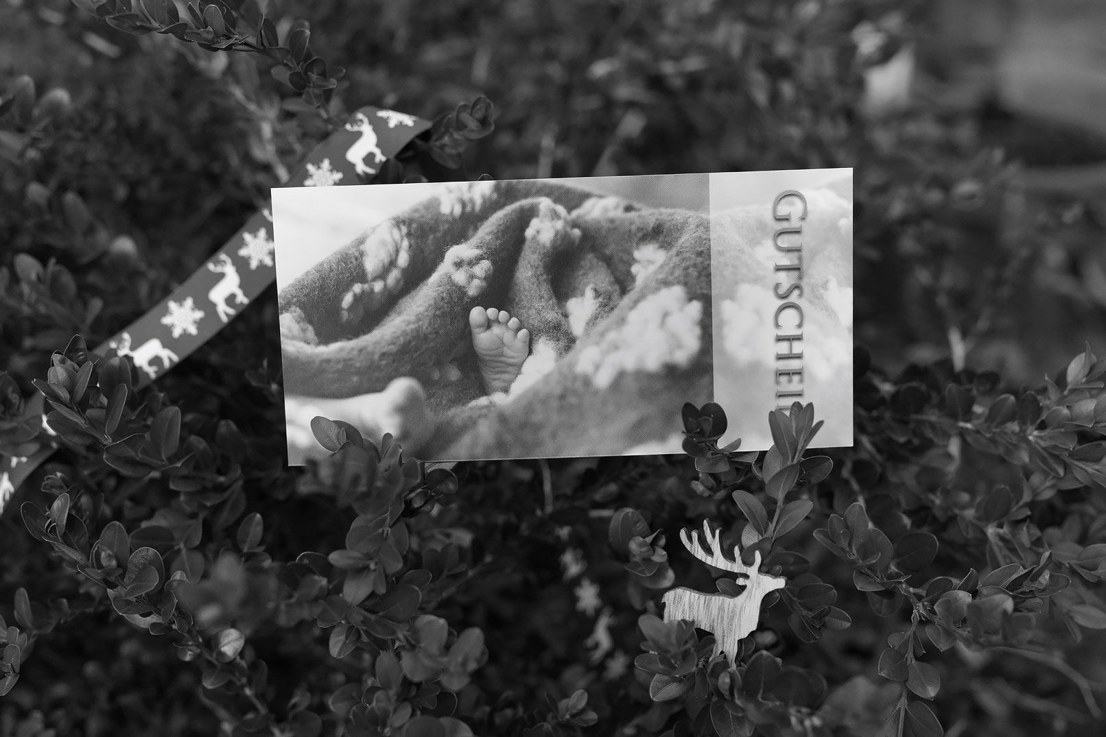 Gutschein Neugeboren Braunschweig Fotograf