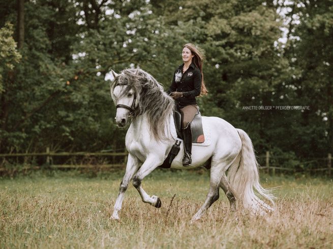 Pferdesportfotografie Braunschweig Reiten