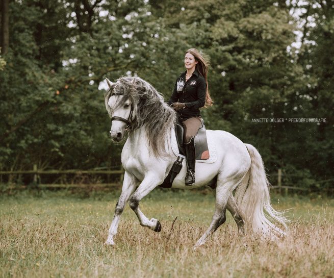 Pferdesportfotografie Braunschweig Reiten