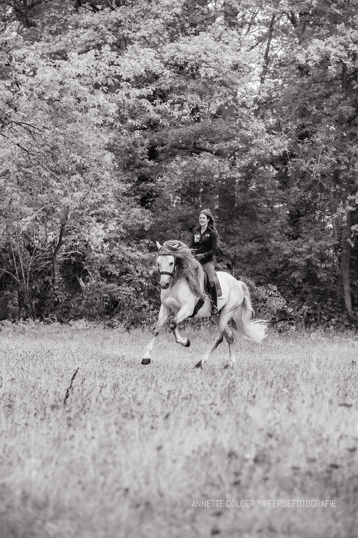 Reitsportfotografin Braunschweig