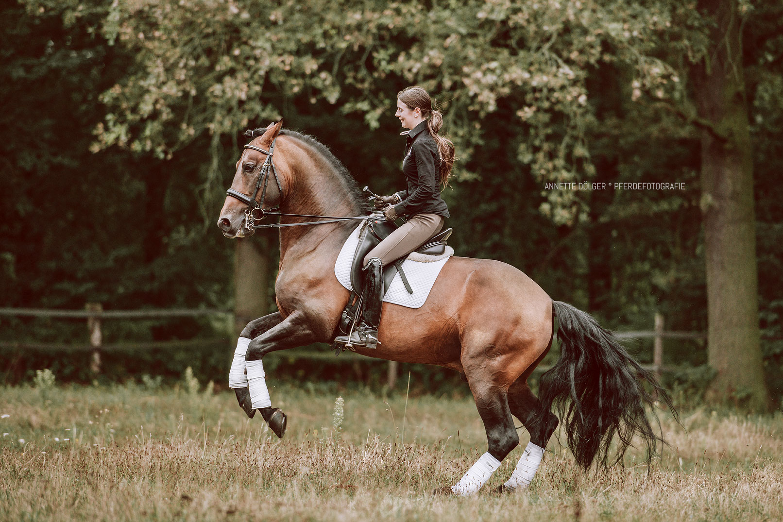 Reitsportfotografie Barock