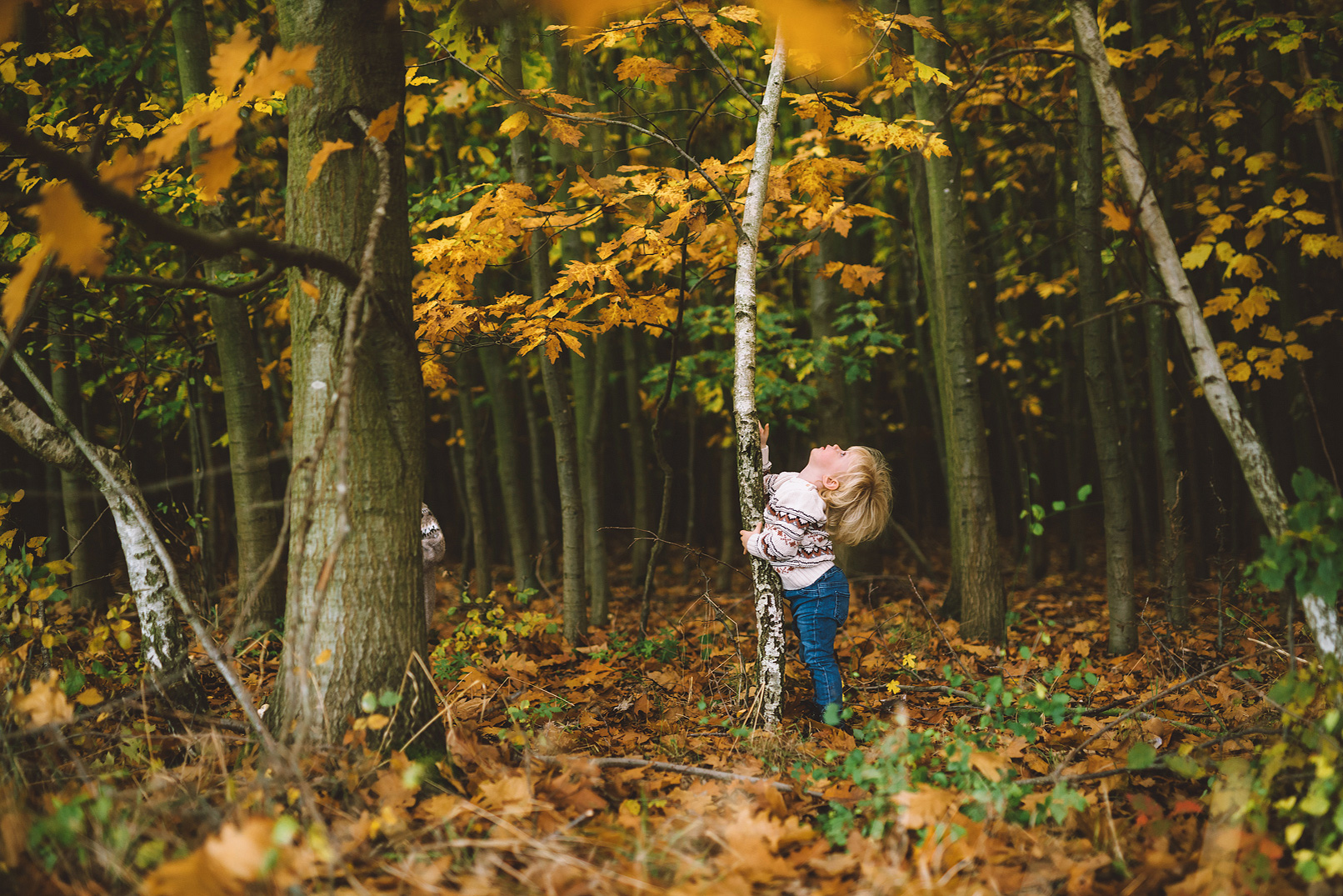 Babyfotoshooting Familienfotografie Braunschweig