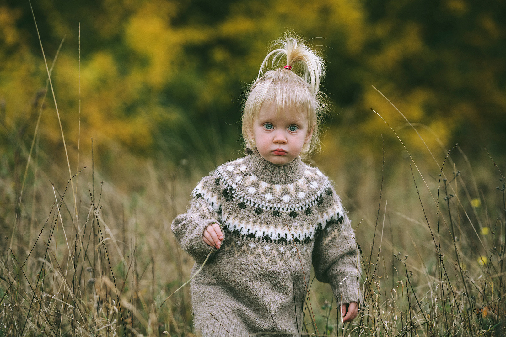 Babyfotoshooting Familienfotografie Braunschweig