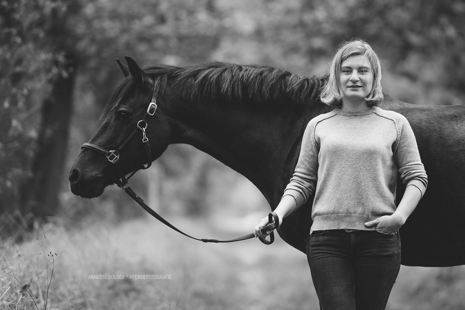 Pferdefotografie Gifhorn