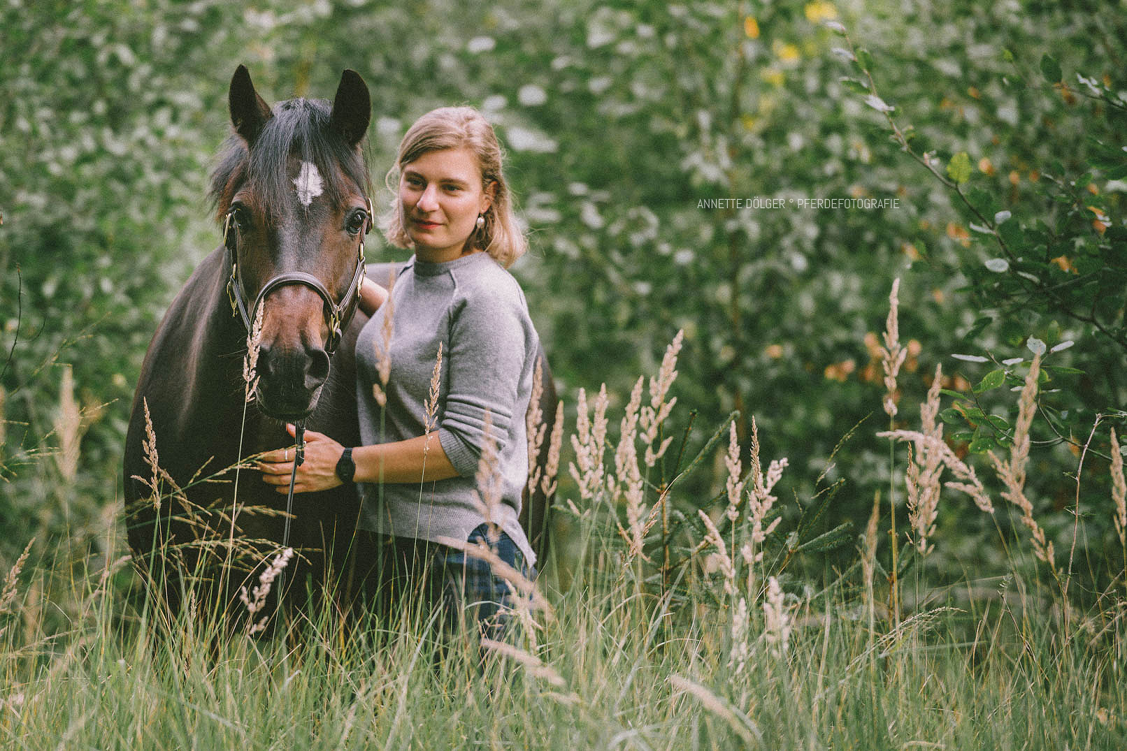 Pferdefotografie Gifhorn