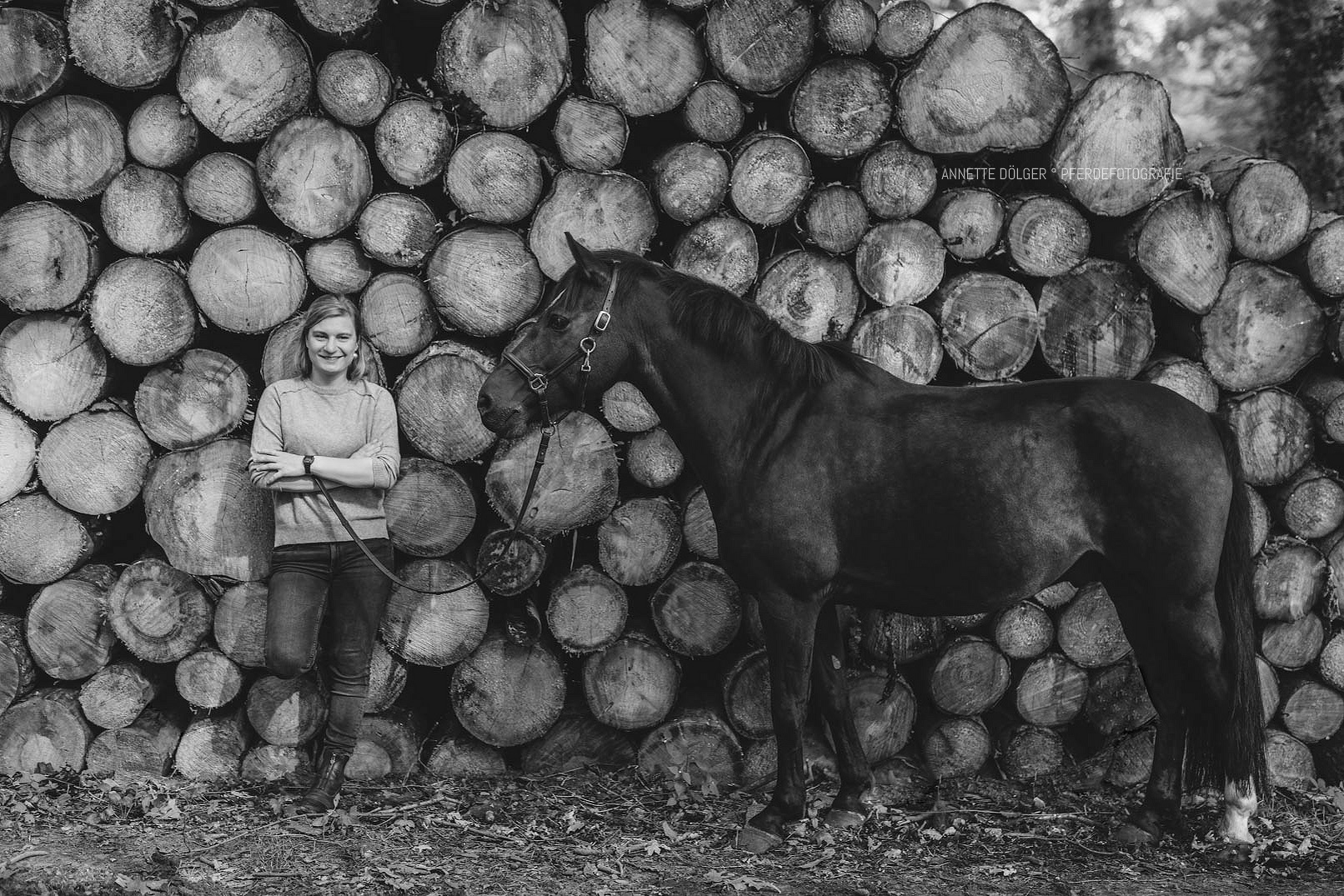 Pferdefotografie Gifhorn