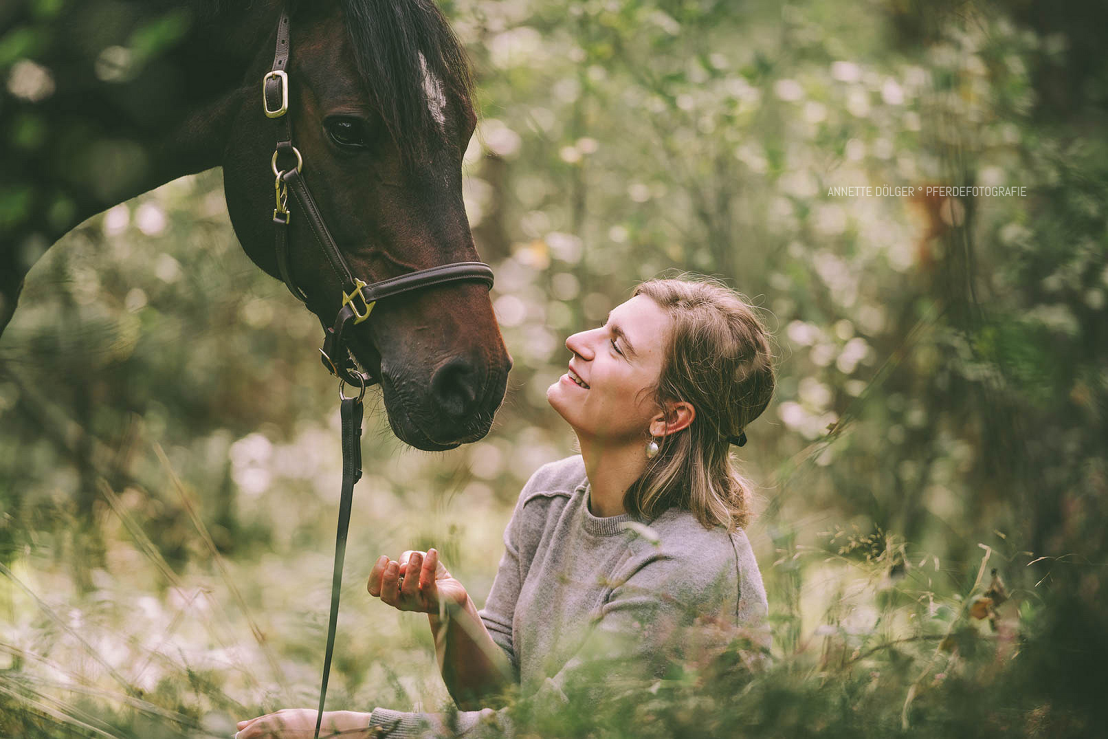 Pferdefotografie Gifhorn
