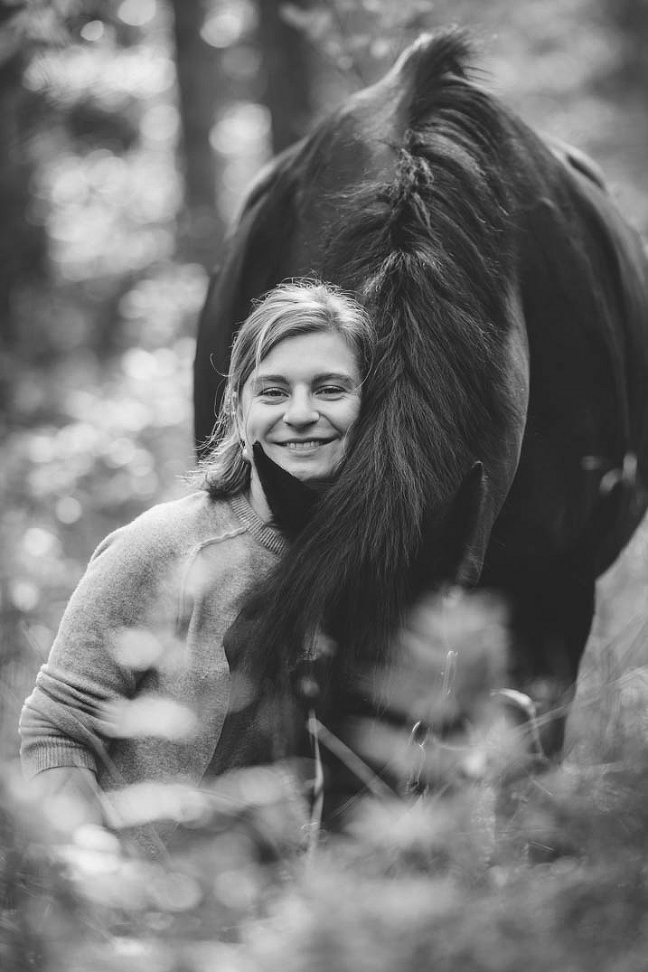 Pferdefotografie Gifhorn