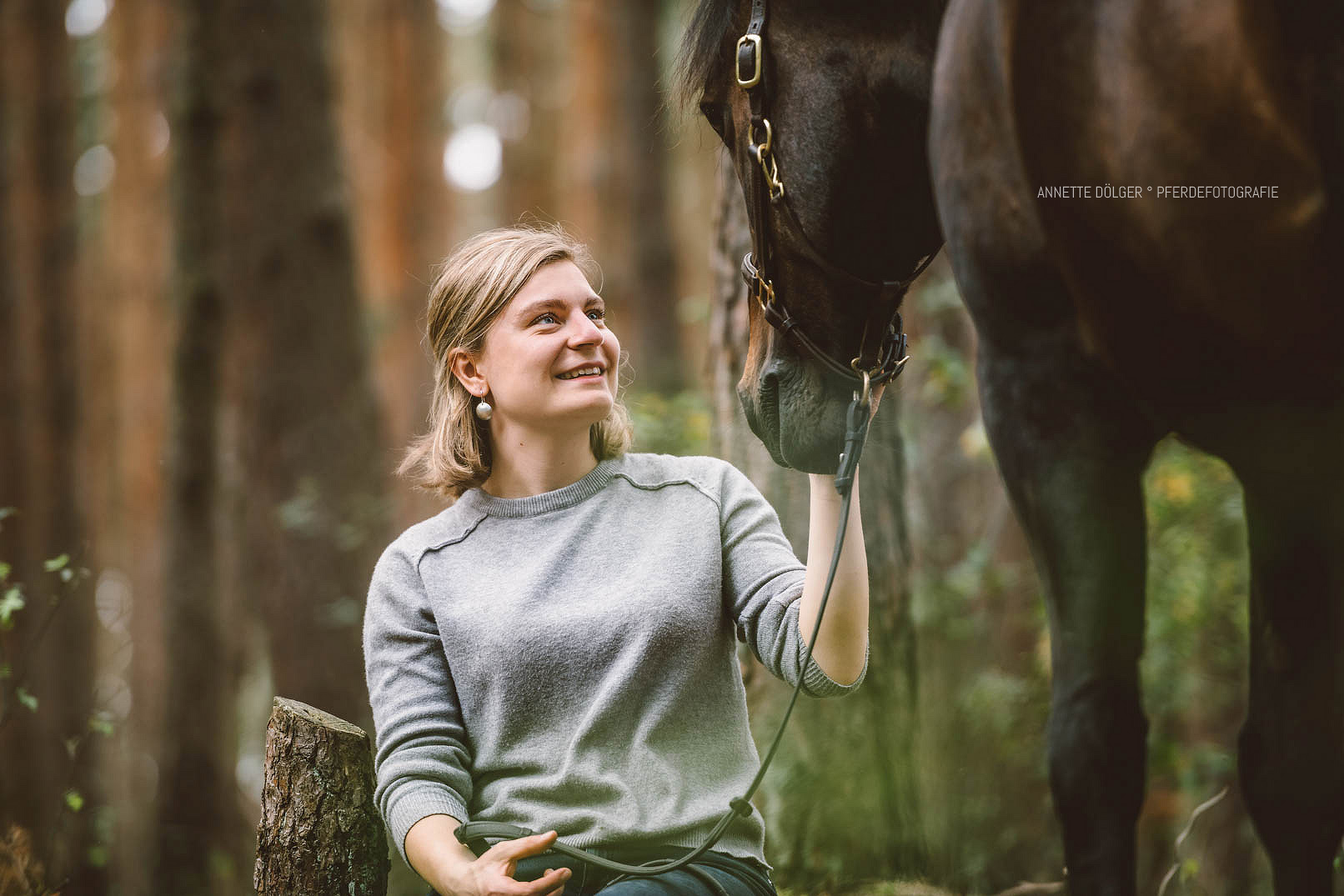 Pferdefotografie Gifhorn