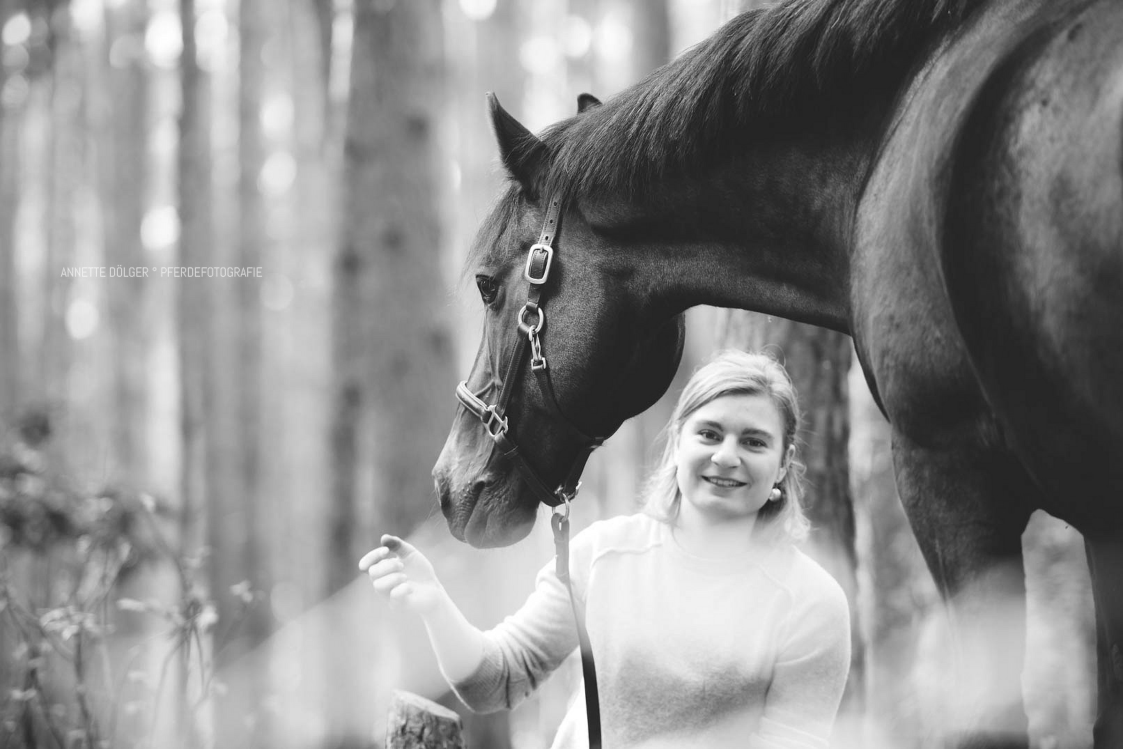 Pferdefotografie Gifhorn