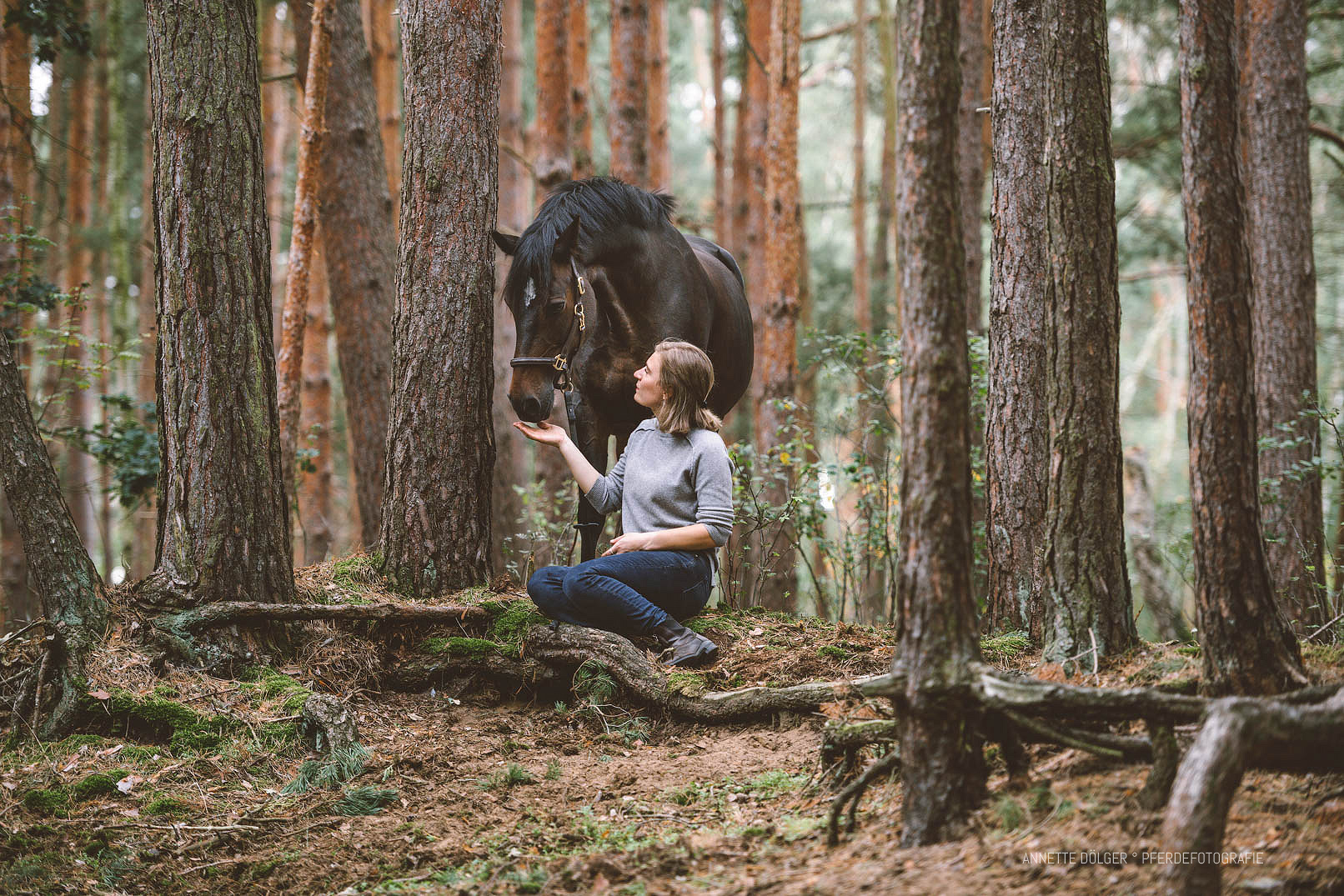 Pferdefotografie Gifhorn