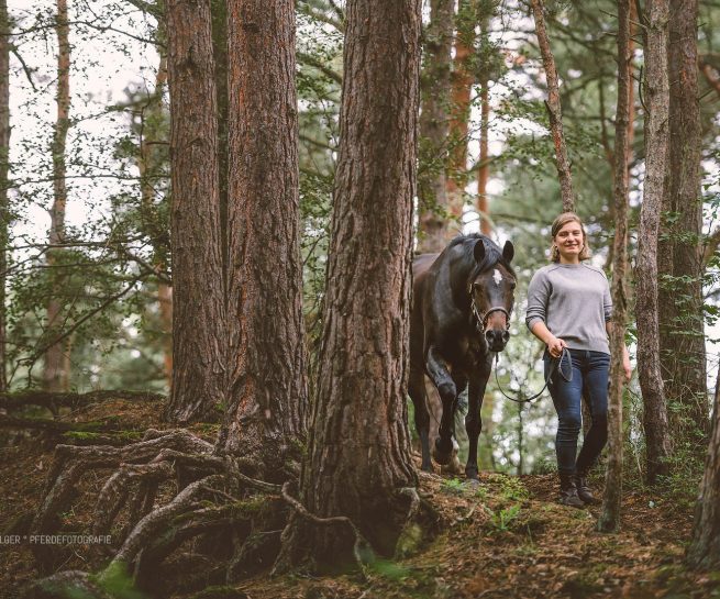 Pferdefotografie Gifhorn