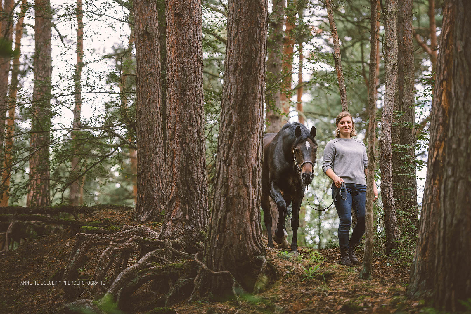 Pferdefotografie Gifhorn