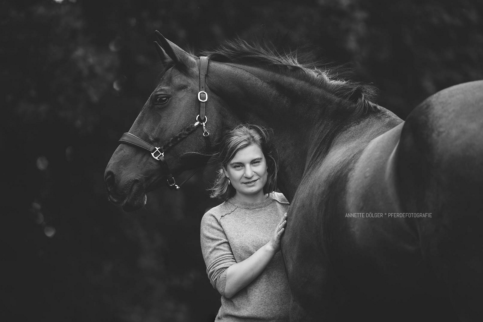 Pferdefotografie Gifhorn